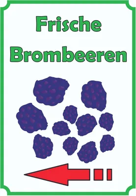 Produktbild von Frische Brombeeren Schild Hochkant mit Pfeil links A6 Rückseite selbstklebend