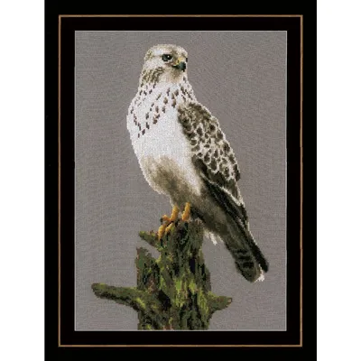 Immagine prodotto di Set per punto croce Lanarte "Falcon", schema contato, 26x40cm