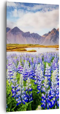Produktbild von Bild auf Leinwand - Leinwandbild - Berge Wiese Blumen - 65x120cm - Wand Bild - Wanddeko - Leinwanddruck - Bilder - Kunstdruck - Wanddekoration - Leinwand bilder - Wandkunst - PA65x120-4114
