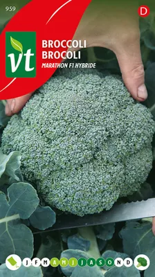 Immagine prodotto di Semi ibridi di Broccolli Marathon F1 - Circa 0,3 gr | VT_959