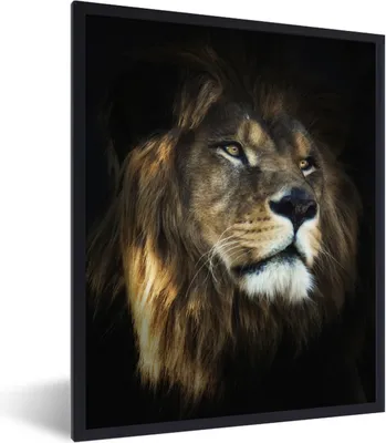 Produktbild von MuchoWow® Gerahmtes Poster Löwe - Fell - Schwarz 60x80 cm - Poster mit Schwarzem Bilderrahmen Wandposter Rahmen Foto Bilder - Premium - Wanddeko Wohnzimmer