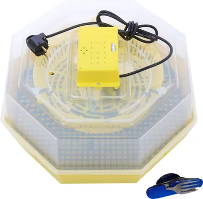 Zdjęcie produktu dla Elektryczna inkubator do jaj, Cleo, model 5