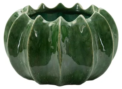 Immagine prodotto di Mauro Ferretti - Copri vaso a forma di cesto per cactus, verde, 22x13,5 cm
