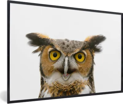 Produktbild von MuchoWow® Gerahmtes Poster Eule - Vogel - Porträt 60x40 cm - Poster mit Schwarzem Bilderrahmen Wandposter Rahmen Foto Bilder - Printing - Wanddeko Schlafzimmer