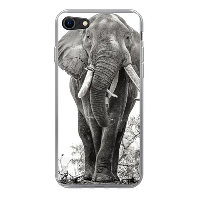 Produktbild von MuchoWow® Handyhülle Schutzhülle Hülle für iPhone SE 2022 Elefant - Porträt - Tiere - Schwarz und weiß Silikon Softcase Handy Hülle - Schutzhülle
