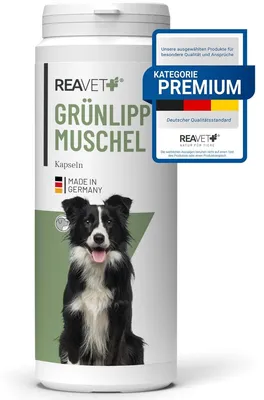 Grünlippmuschel-Kapseln für Hunde, 300 Stück, Gelenkunterstützung