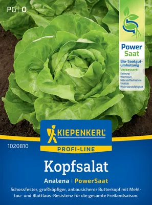 Artikelbild 2 von 'Kopfsalat Analena (PowerSaat)' aus der Kategorie Kopfsalatsamen