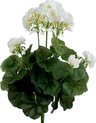 Produktbild von Geranienbusch Weiß 38cm Künstliche Balkonpflanze Dekoration