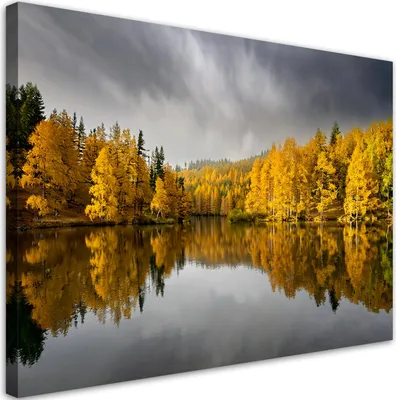 Immagine prodotto di Quadro su tela giallo autunno bosco natura paesaggio 100x70 Feeby Giallo quadro per la parete pronto per essere appeso