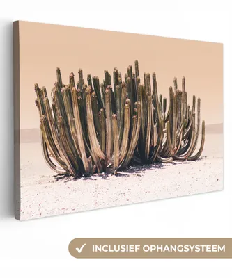 Obrázek produktu pro OneMillionCanvasses® Malba na plátně Nástěnná malba na plátně - Kaktus - Rostlina - Příroda - Zelená - 150x100cm