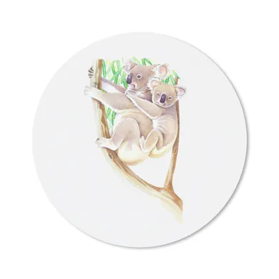 Produktbild von MuchoWow® Mauspad Mousepad Koala - Zweig - Aquarell 40x40 cm - Mousepads - Maus Mat - Pad - Mausunterlage - Schreibtisch Accessoires