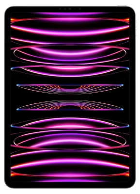 Image de Apple iPad Pro, 27,9 cm (11"), 2388 x 1668 pixels, 128 Go, 8 Go, iPadOS 16, gris