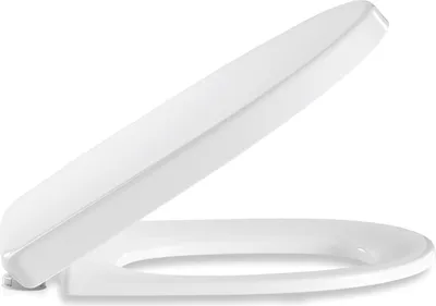 Produktbild von Pressalit Delight WC-Sitz Softclose mit D09999 Edelstahlscharnier Weiß