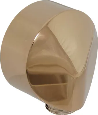Produktbild von Hansgrohe Fixfit E Schlauchanschluss, edelmessing, 27454840