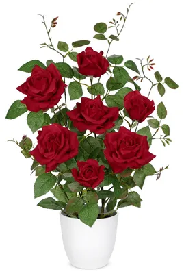 Produktbild von Kunstblumen Rosenstrauch im Topf - Seidenrosen zur Dekoration