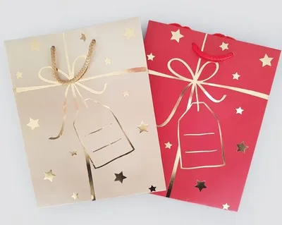Produktbild von Geschenktasche 23x18x10cm, 157g, mit Goldprägung,