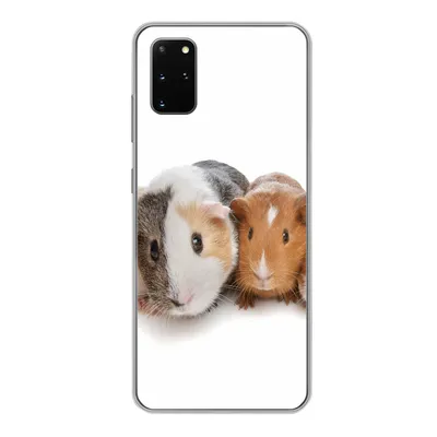 Produktbild von MuchoWow® Handyhülle Schutzhülle Hülle für Samsung Galaxy S20 Plus Fünf Meerschweinchen Silikon Softcase Handy Hülle - Hartschale