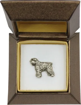 Produktbild von Flandrischer Treibhund, Bouvier des Flandres - Hundebrosche in Geschenkbox, elegante Anstecknadel, Reversnadel für Art-Dog Markenjacke