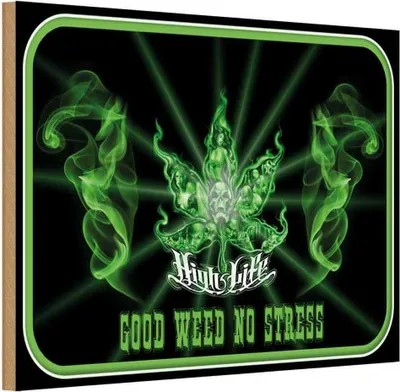 Produktbild von vianmo Holzschild 12x18 cm High Life good weed no stress