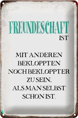 Produktbild von Blechschild Spruch 20x30cm Freundschaft ist mit anderen