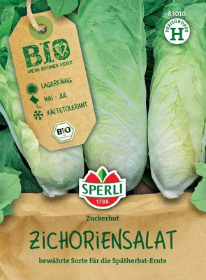 Artikelbild 2 von 'Zichoriensalat Zuckerhut' aus der Kategorie Zuckerhutsamen