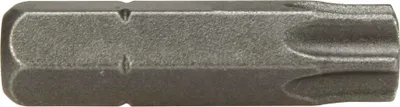 Obrázok produktu pre Apex 1/4" bitová vložka, Torx, T20, 25 mm 440-TX-20X