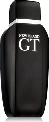 Zdjęcie produktu dla New Brand Perfumes GT EDT 100 ml M