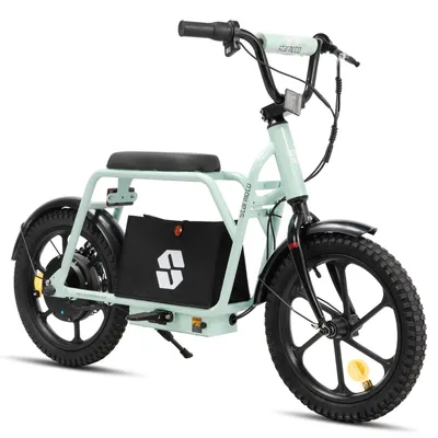 Productafbeelding van Elektrische kinderfiets, 16 inch, 250 watt. Elektrische kinderstep. Elektrische kinder-e-scooter. Elektrische kinderfiets. Elektrische loopfiets voor kinderen van 6-10 jaar, verkrijgbaar in 6 kleuren