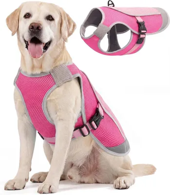 Image de Koelvest pour chien - Doux - Rose