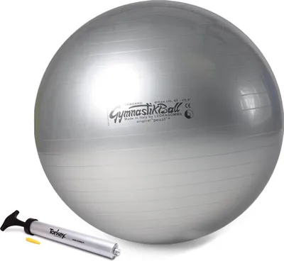 Produktbild von Original Pezzi® Gymnastikball STANDARD m. Pezzi Pumpe - silber