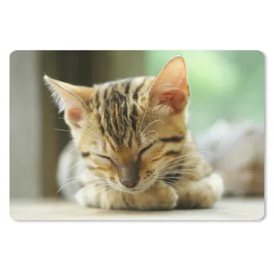 Produktbild von MuchoWow® Mauspad Mousepad Ein schlafendes Kätzchen 27x18 cm - Mousepads - Maus Mat - Pad - Mausunterlage - Büroartikel - Desk Matten