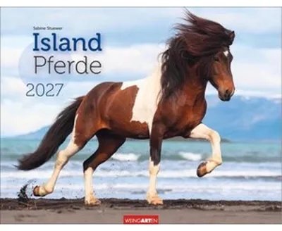 Produktbild von Islandpferde Wandkalender 2027 – Monatskalender mit 12 Motiven, 44 x 34 cm