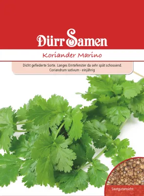 Produktbild von Koriander Marino | Koriandersamen von Dürr Samen [MHD 12/2024]