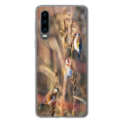 Produktbild von MuchoWow® Handyhülle Schutzhülle Hülle für Huawei P30 Vögel - Äste - Wald Silikon Softcase Handy Hülle - Kartenbesitzer