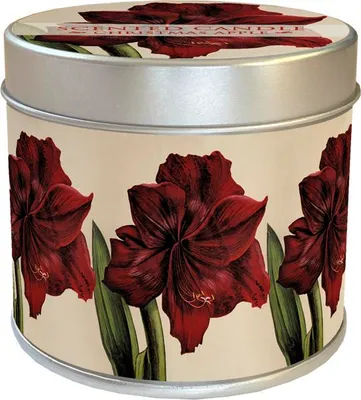 Imagen del producto de Vela aromática en lata, "Orange Autumn Plants", aroma a amaryllis