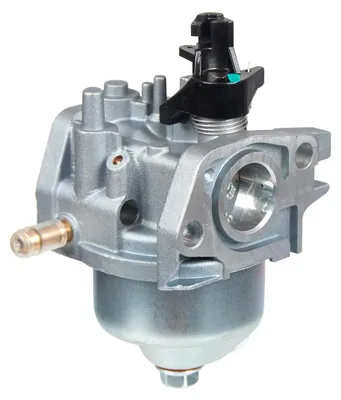 Zdjęcie produktu dla Gaźnik Cedrus silnik Y170V 484157