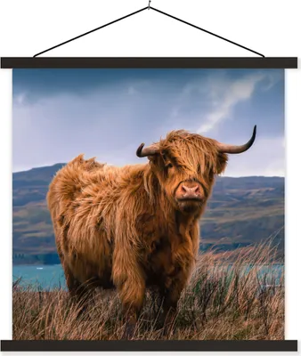 Produktbild von MuchoWow® Textilposter Schottisches Hochlandrind - Berg - Wasser - Natur - Kuh 60x60 cm mit schwarzem Rahmen - Posteraufhänger