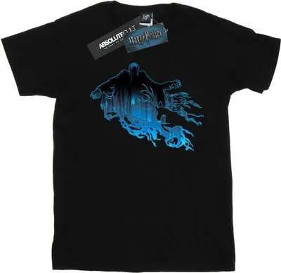 Produktbild von Harry Potter - T-Shirt für Herren BI29596 (L) (Schwarz)