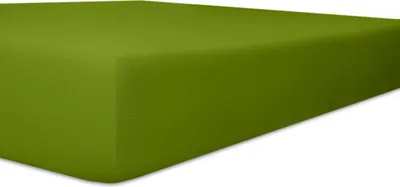 Produktbild von Kneer - Spannbetttuch - * Qualität 25 * Easy-Stretch - Farbe: 22 Schilf - Größe: 90/190 - 100/200 cm