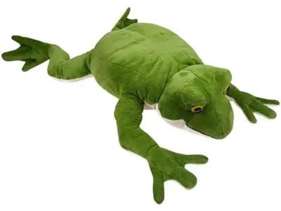 Zdjęcie produktu dla Żaba 60cm - Dubi