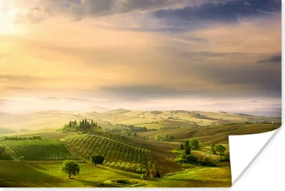 Produktbild von MuchoWow® Poster Toskana - Himmel - Baum 180x120 cm - Fotoplakat