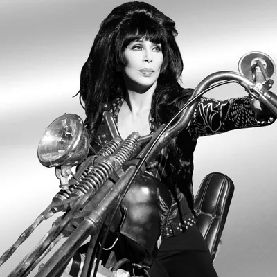Produktbild von Cher - Forever Classics (Silver Coloured) (2 LP)