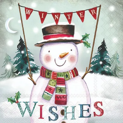 Produktbild von Serviette "Winter Wishes" 20 Stück