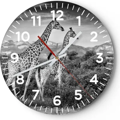 Produktbild von Wanduhr - Rund - Glasuhr - Giraffen Schwarzweiß Fotografie - 30x30cm - Schleichendes Uhrwerk - Lautlos - zum Aufhängen bereit - Dekoration Modern - Wanddekoration aus Glas - C4AR30x30-4441