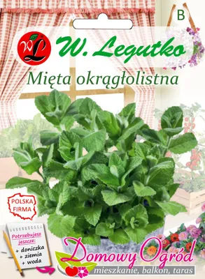 Obrázok produktu pre Semená mäty okrúhlolistej, 0,1 g