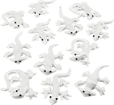 Produktbild von Echsen, Weiß, Größe 10-14 cm, 12 Stk/ 1 Pck