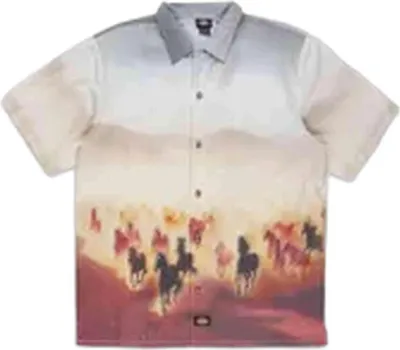 Produktbild von Dickies Shirt DK0A8676K411-MULT in Multicolored color size medium