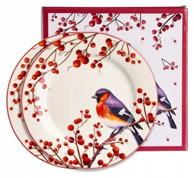Produktbild von Duo Christmas Birds Dessertteller Porzellan 2er Set 19cm