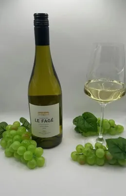 Produktbild von Bergerac Sauvignon Blanc Chateau le Fagé
