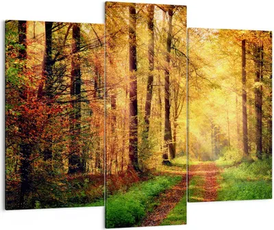 Produktbild von Bild auf Leinwand - Leinwandbild - Wald Baum Natur - 130x100cm - Wand Bild - Wanddeko - Wandbilder - Leinwanddruck - Bilder - Kunstdruck - Wanddekoration - Leinwand bilder - Wandkunst - CB130x100-3718